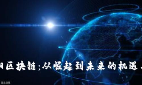 十連陽區(qū)塊鏈：從崛起到未來的機(jī)遇與挑戰(zhàn)
