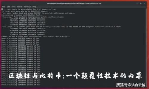 區(qū)塊鏈與比特幣：一個顛覆性技術(shù)的內(nèi)幕
